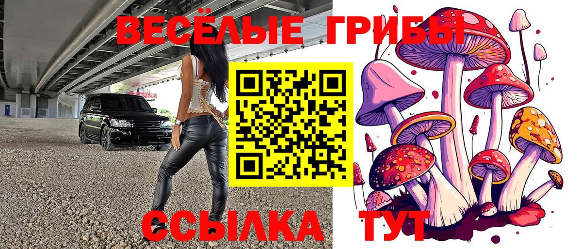 Псилоцибиновые грибы Magic Shrooms  Вход с VPN  Норильск 